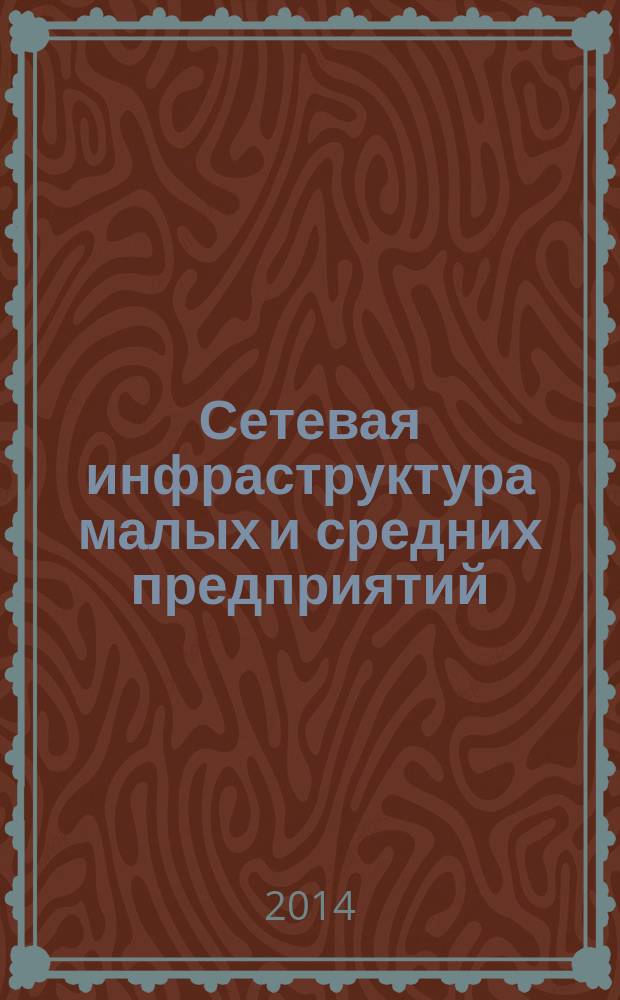Сетевая инфраструктура малых и средних предприятий : методические указания по выполнению лабораторных работ для магистрантов, обучающихся по направлению 080500 "Бизнес-информатика"