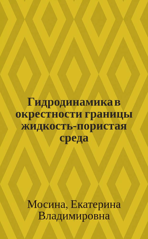 Гидродинамика в окрестности границы жидкость-пористая среда : автореф. на соиск. уч. степ. к. ф.-м. н. : специальность 01.02.05 <Механика жидкости, газа и плазмы>