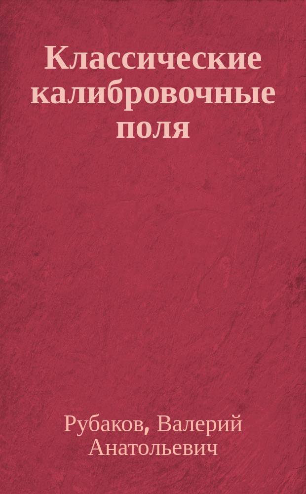 Классические калибровочные поля : теория с фермионами, некоммутативные теории