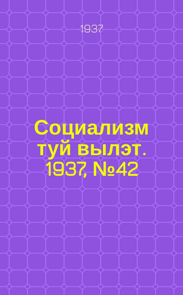 Социализм туй вылэт. 1937, № 42(403) (1 авг.)