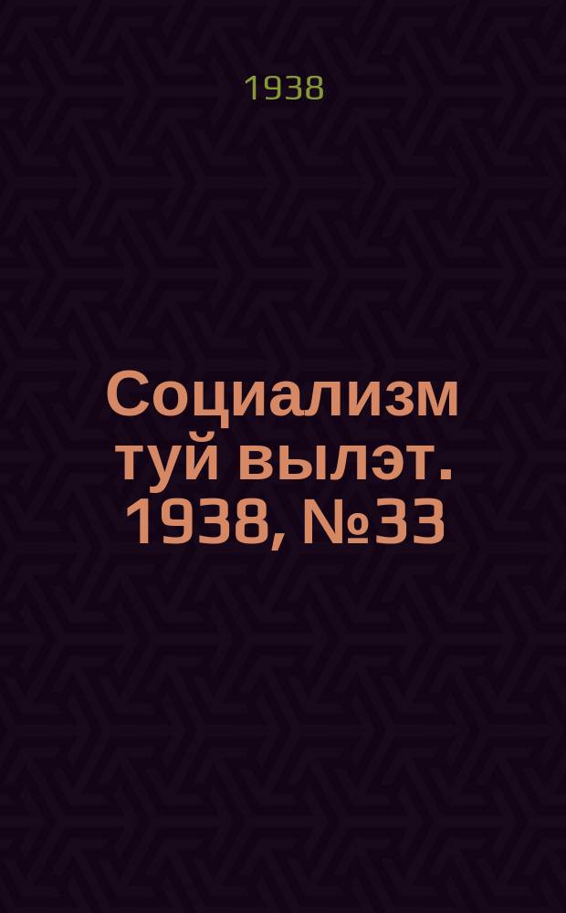 Социализм туй вылэт. 1938, № 33(466) (31 мая)