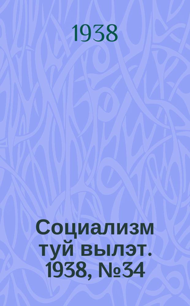 Социализм туй вылэт. 1938, № 34(467) (5 июня)