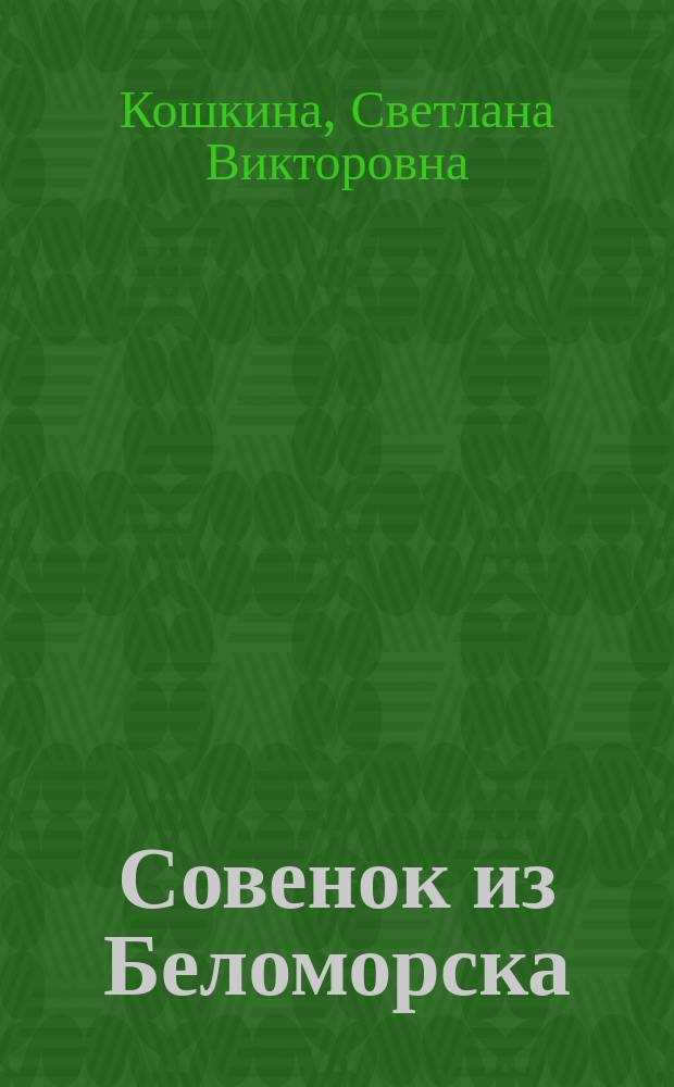 Совенок из Беломорска : сказочно-познавательная история : для детей младшего и среднего возраста