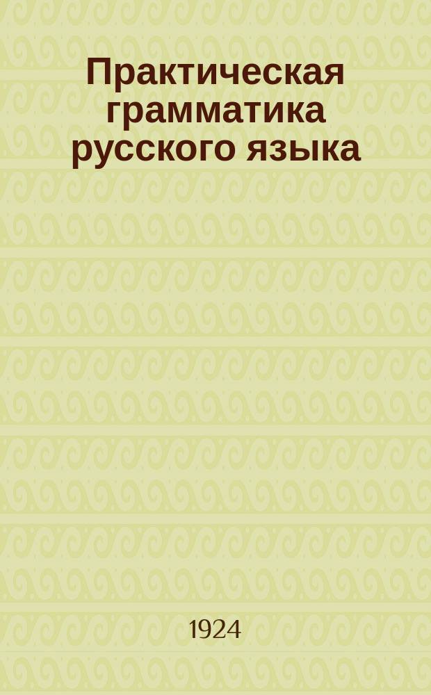Практическая грамматика русского языка