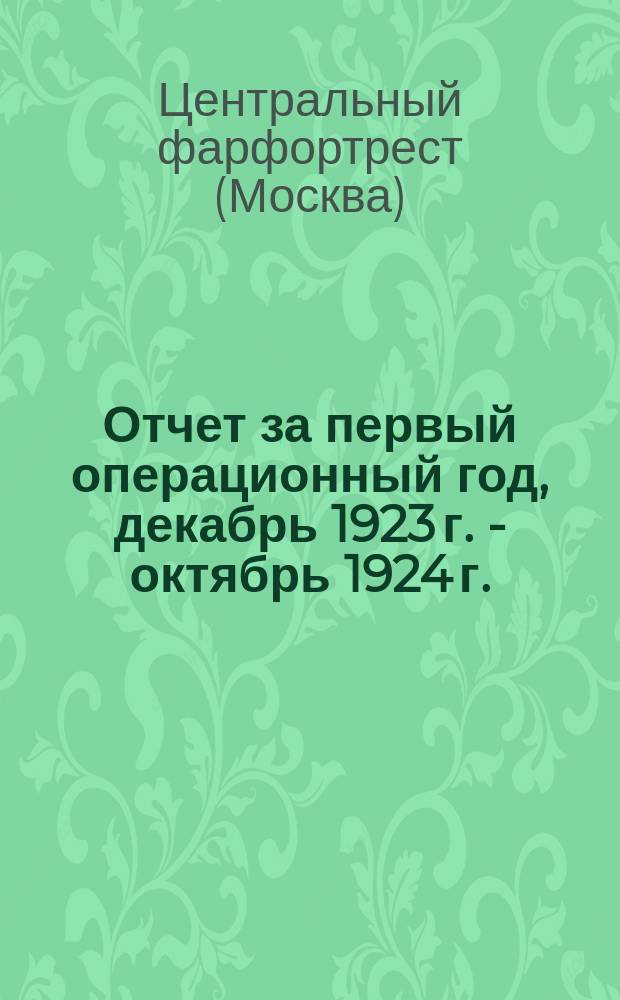 Отчет за первый операционный год, декабрь 1923 г. - октябрь 1924 г. : К V Съезду Всероссийского союза рабочих химиков