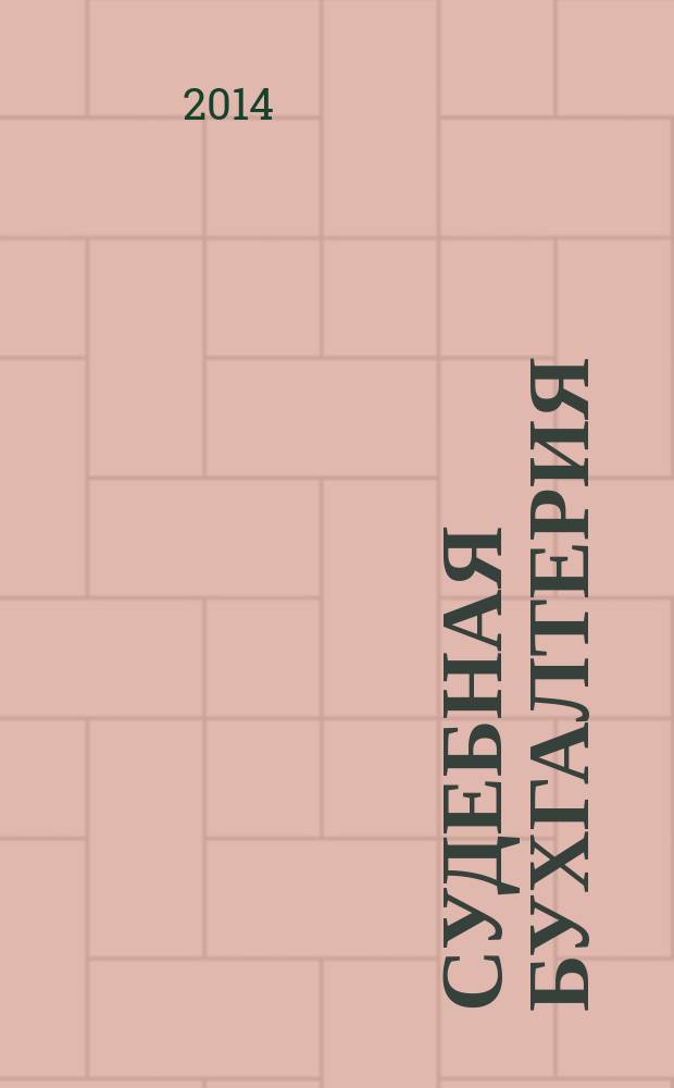 Судебная бухгалтерия : практикум