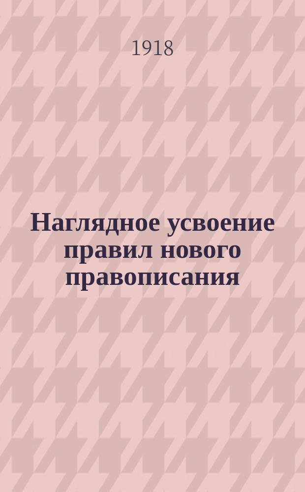 Наглядное усвоение правил нового правописания