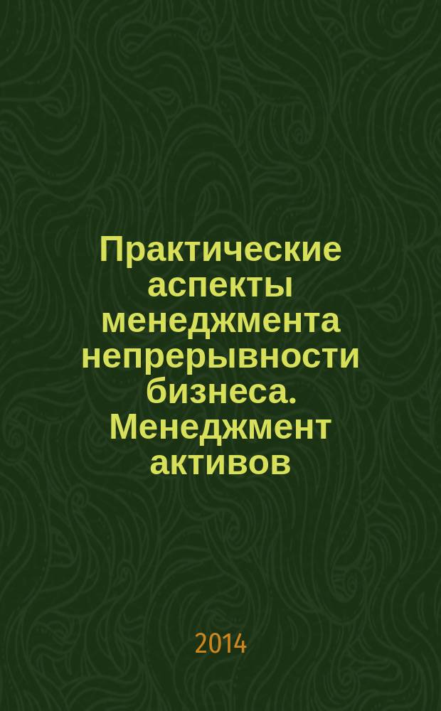 Практические аспекты менеджмента непрерывности бизнеса. Менеджмент активов : Руководство по применению требований к оптимальному управлению производственными активами