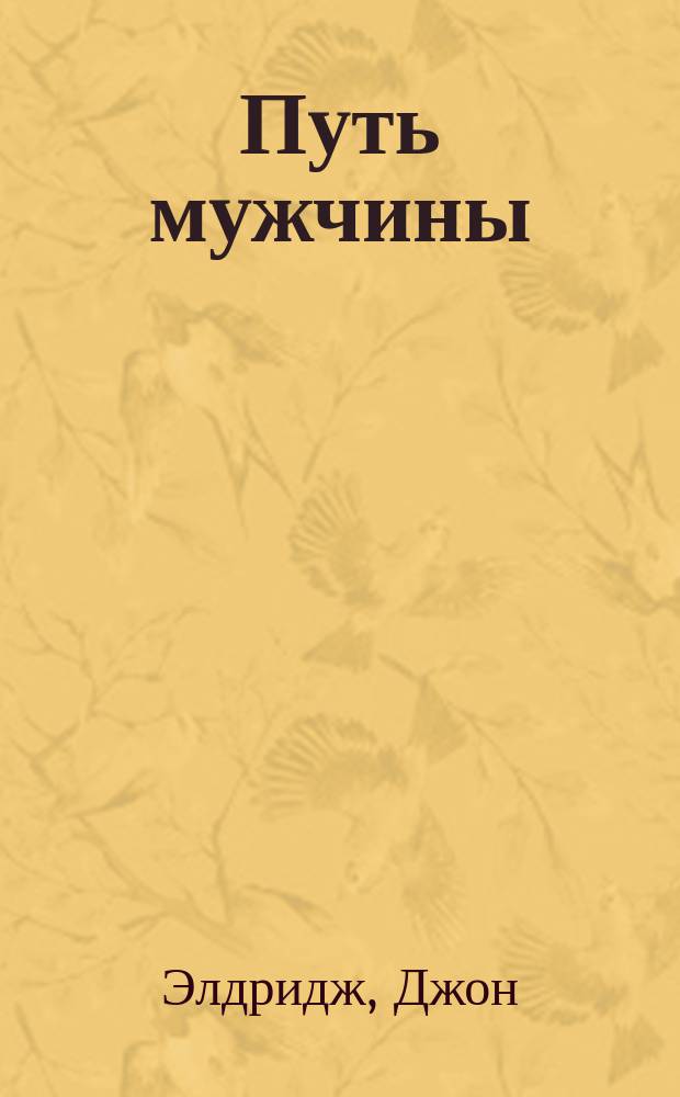 Путь мужчины : карта идущего по пути возмужания