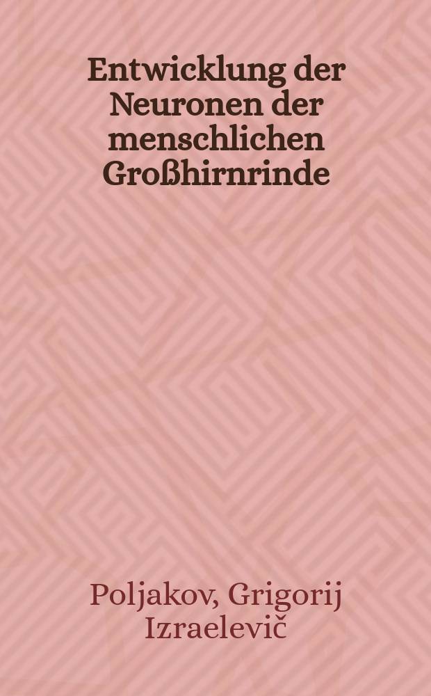 Entwicklung der Neuronen der menschlichen Großhirnrinde
