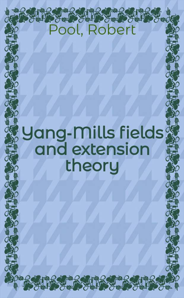 Yang-Mills fields and extension theory