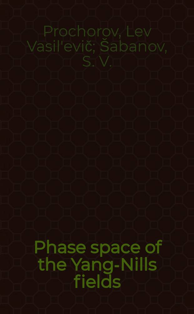 Phase space of the Yang-Nills fields