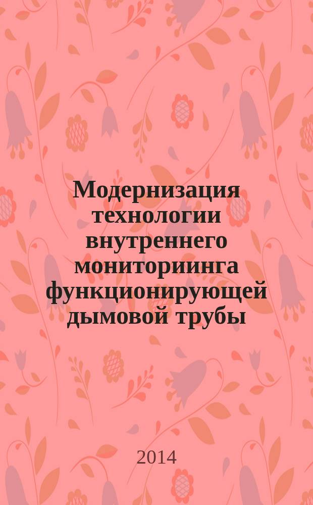 Модернизация технологии внутреннего мониториинга функционирующей дымовой трубы : монография
