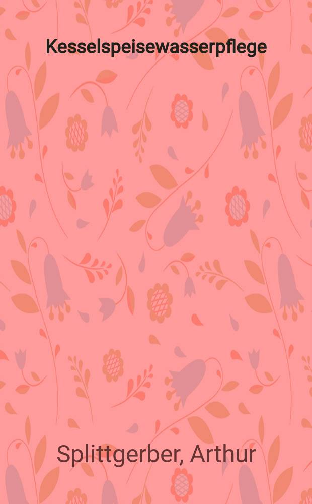 Kesselspeisewasserpflege : Erfordernisse und derzeitige M&ouml;glichkeiten