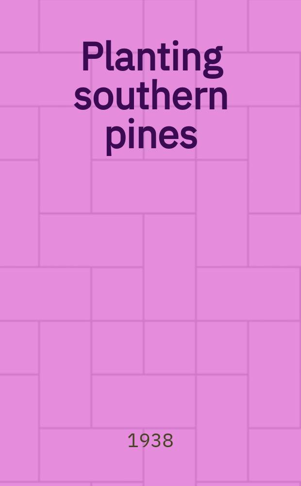 Planting southern pines