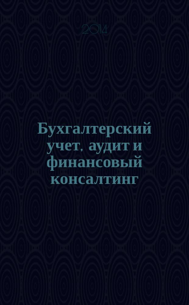Бухгалтерский учет, аудит и финансовый консалтинг : программа технико-экономической практики