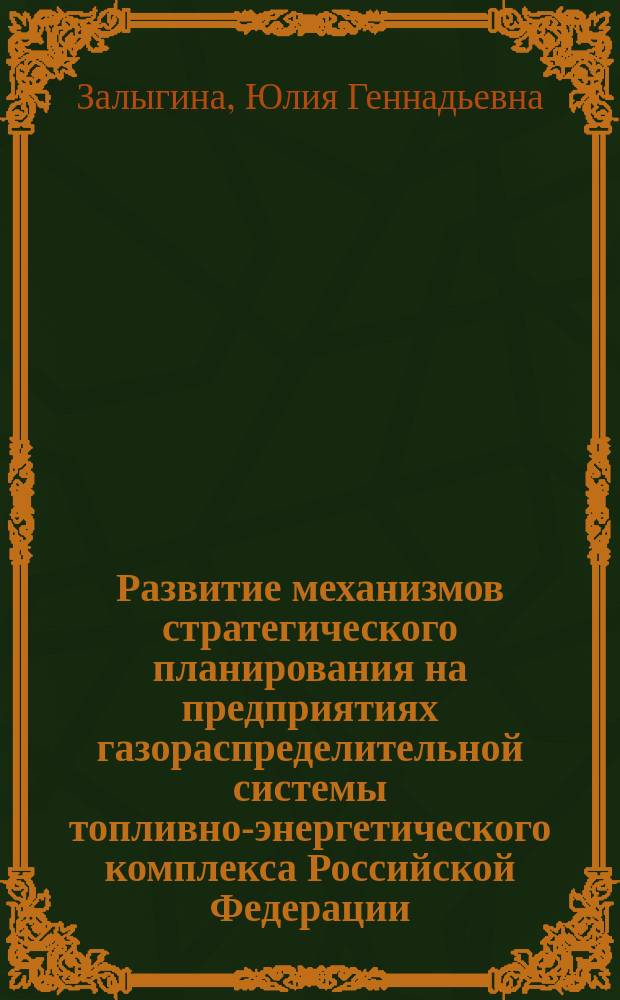 Развитие механизмов стратегического планирования на предприятиях газораспределительной системы топливно-энергетического комплекса Российской Федерации : автореферат диссертации на соискание ученой степени кандидата экономических наук : специальность 08.00.05 <Экономика и управление народным хозяйством по отраслям и сферам деятельности>