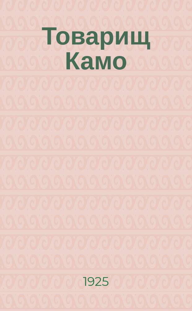 Товарищ Камо : Повесть о подвигах и испытаниях