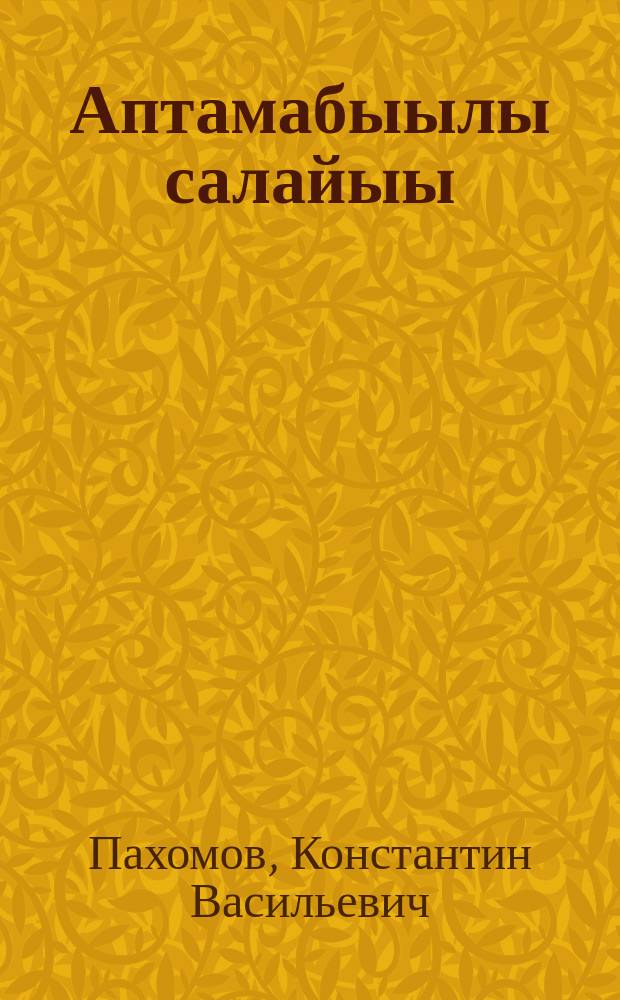 Аптамабыылы салайыы = Управление автомобилем