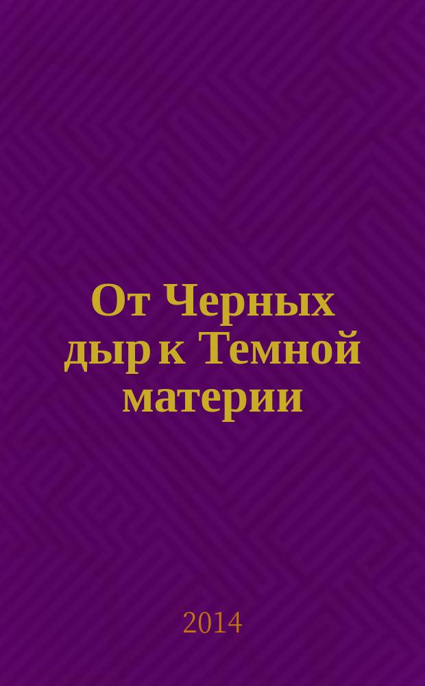 От Черных дыр к Темной материи