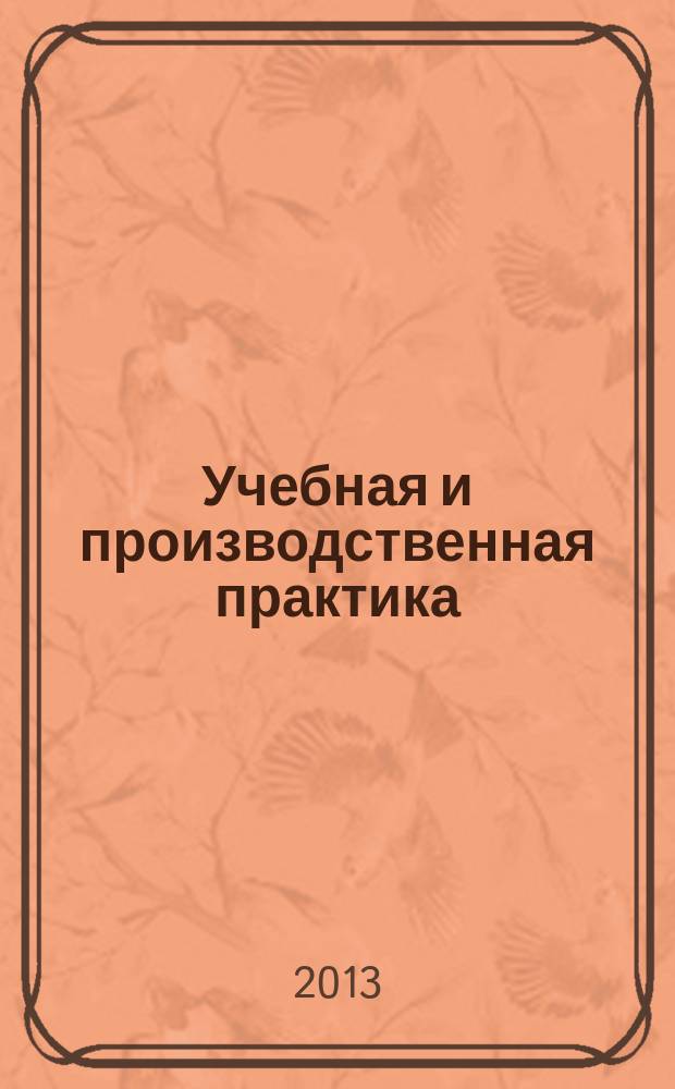 Учебная и производственная практика : методические указания по проведению (направление "Экономика") профиль "Бухгалтерский учет, анализ и аудит")