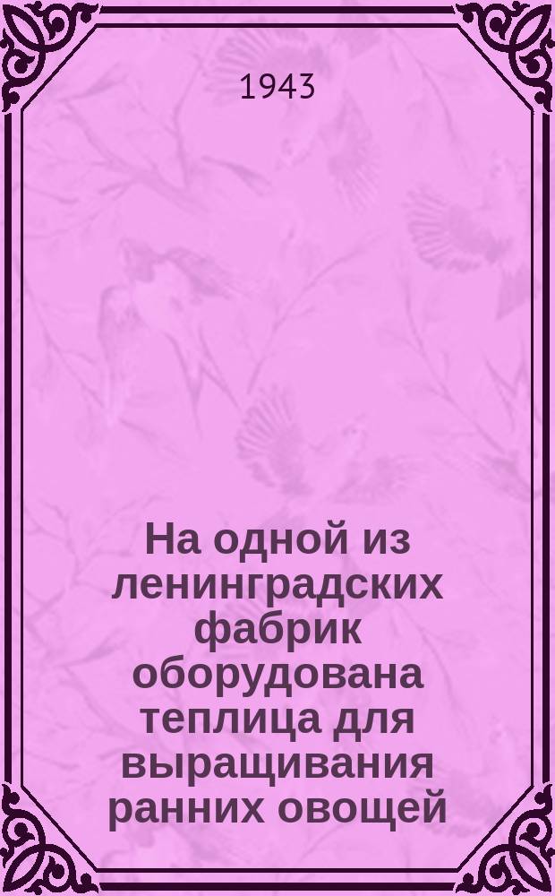 На одной из ленинградских фабрик оборудована теплица для выращивания ранних овощей. Сотрудница фабрики т. Полякова осматривает всходы зеленого лука. 14 марта 1943 г. : фотография