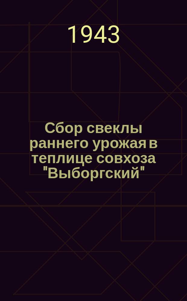 Сбор свеклы раннего урожая в теплице совхоза "Выборгский" : фотография