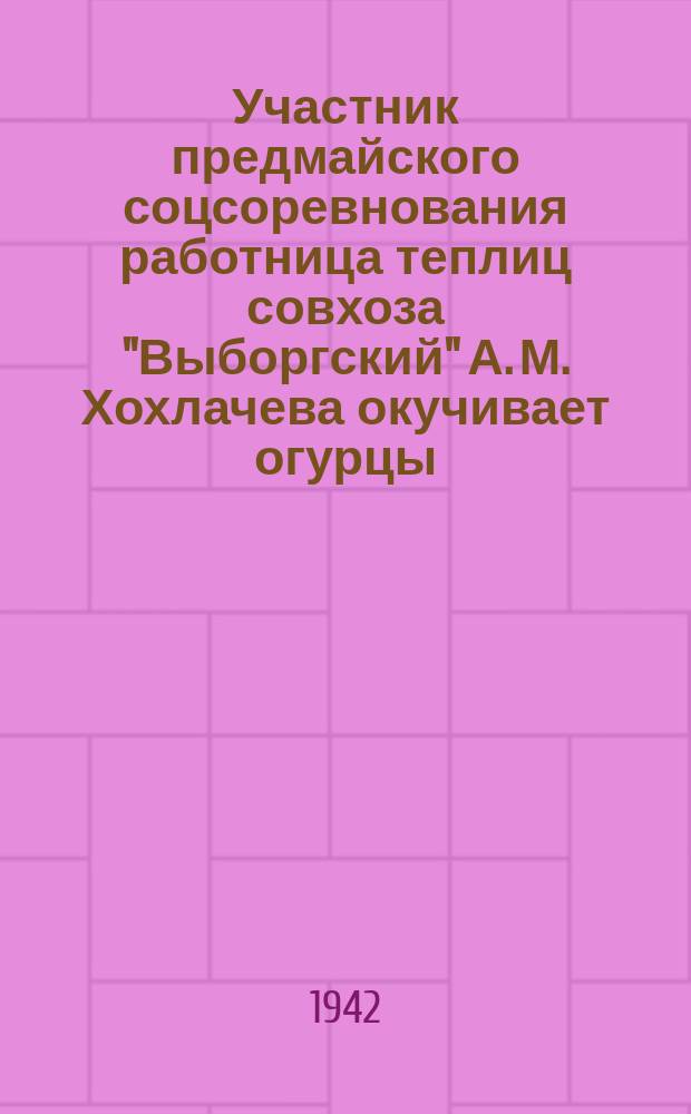 Участник предмайского соцсоревнования работница теплиц совхоза "Выборгский" А. М. Хохлачева окучивает огурцы. 24 апреля 1942 г. : фотография