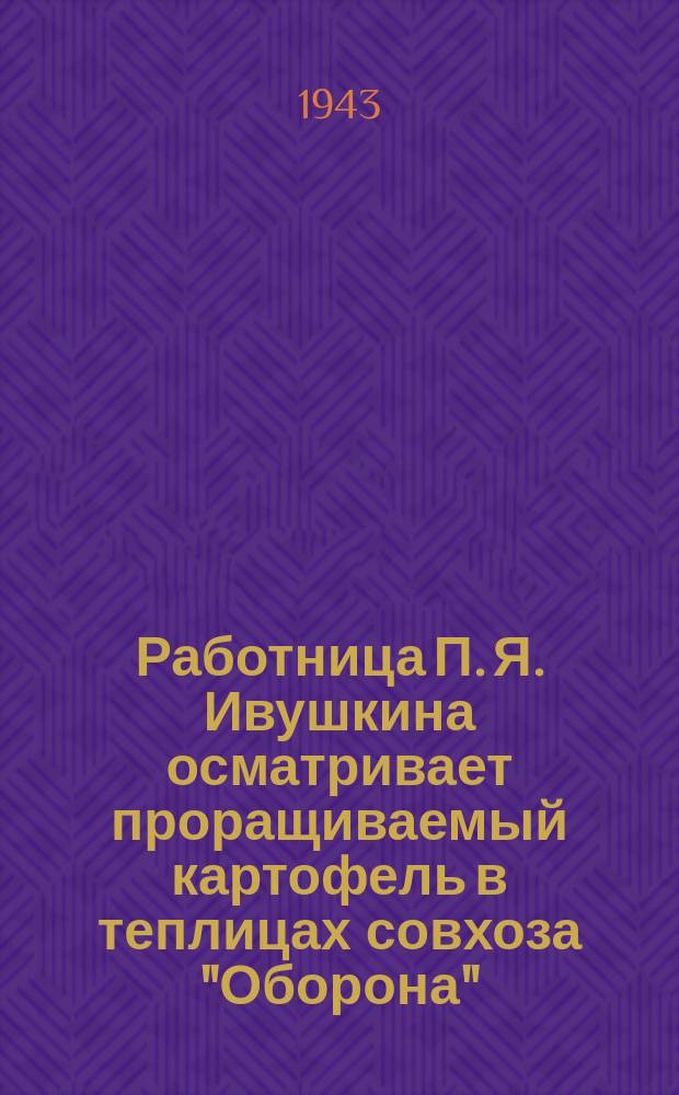 Работница П. Я. Ивушкина осматривает проращиваемый картофель в теплицах совхоза "Оборона". Апрель 1943 г. : фотография