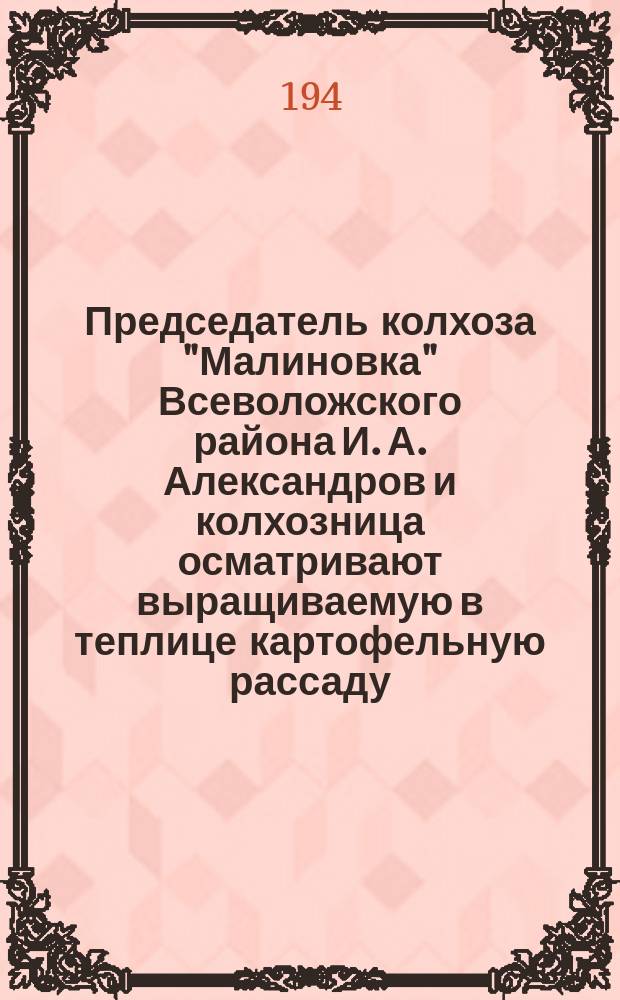 Председатель колхоза "Малиновка" Всеволожского района И. А. Александров и колхозница осматривают выращиваемую в теплице картофельную рассаду. Апрель 1943 г. : фотография
