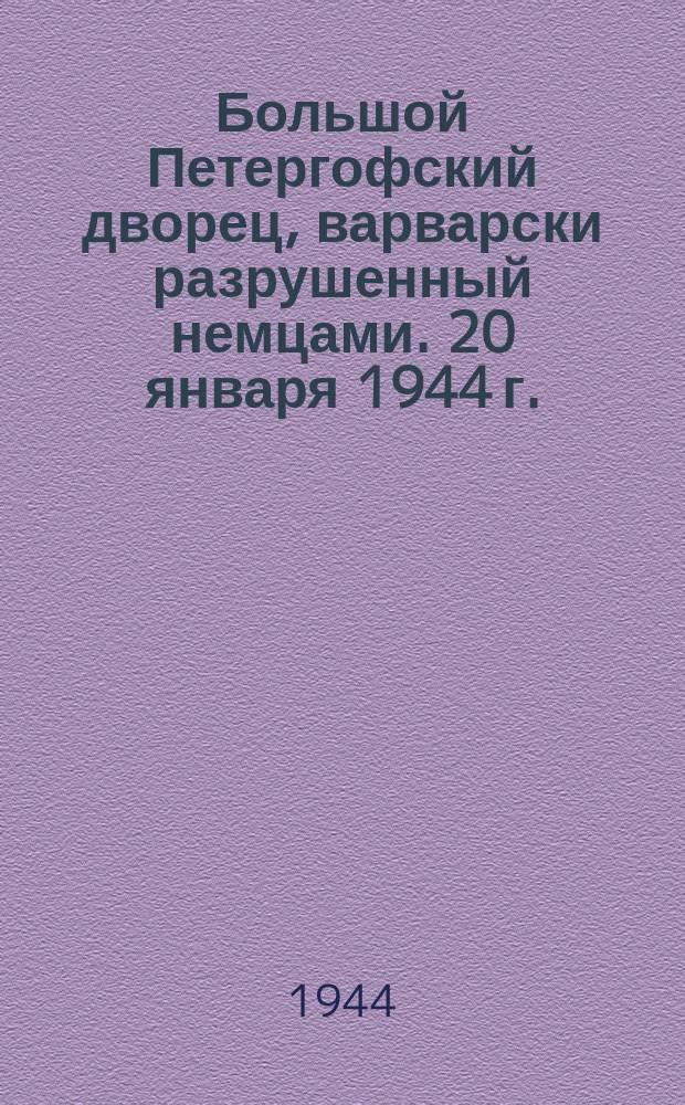 Большой Петергофский дворец, варварски разрушенный немцами. 20 января 1944 г. : фотография