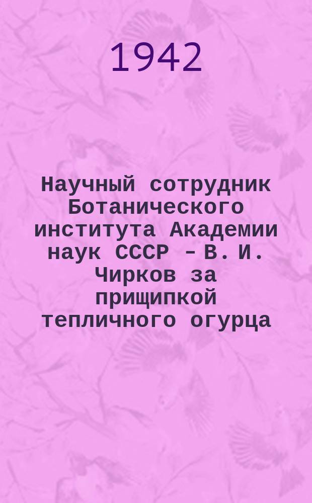 Научный сотрудник Ботанического института Академии наук СССР - В. И. Чирков за прищипкой тепличного огурца. 5 июня 1942 г. : фотография