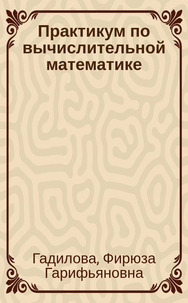 Практикум по вычислительной математике : учебное электронное издание локального доступа