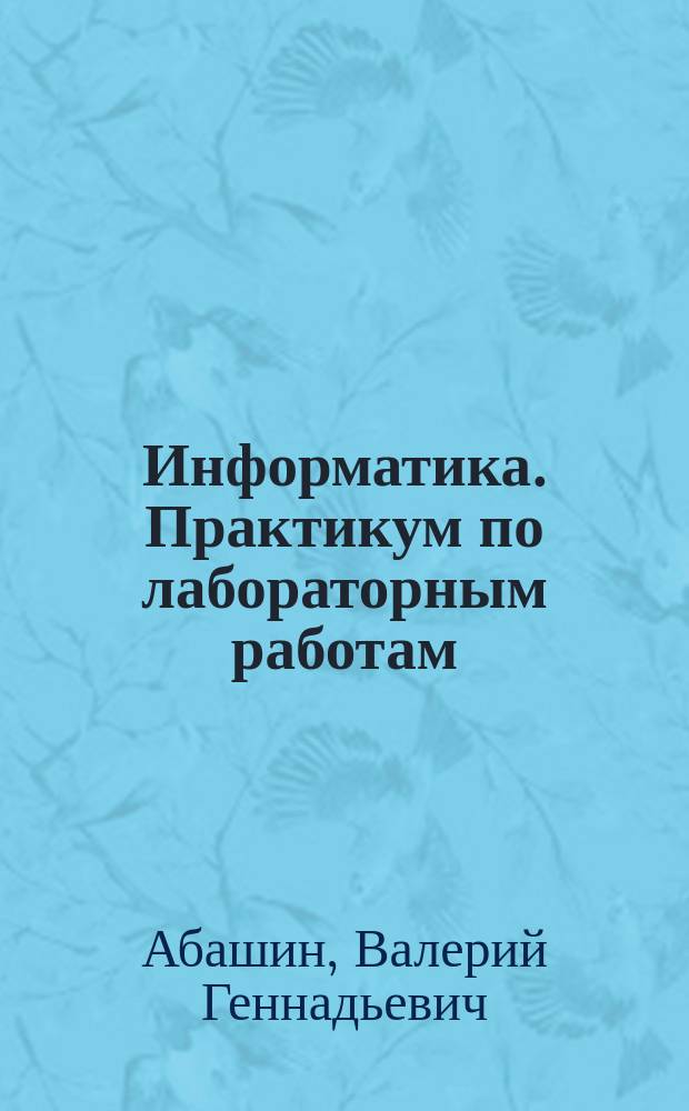 Информатика. Практикум по лабораторным работам