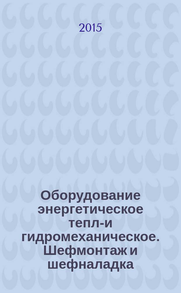 Оборудование энергетическое тепло- и гидромеханическое. Шефмонтаж и шефналадка : Общие требования