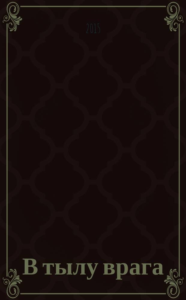 В тылу врага