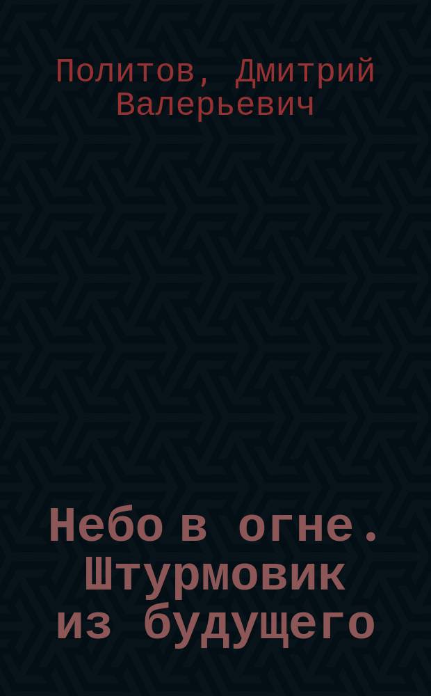 Небо в огне. Штурмовик из будущего