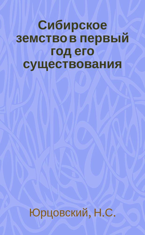 Сибирское земство в первый год его существования