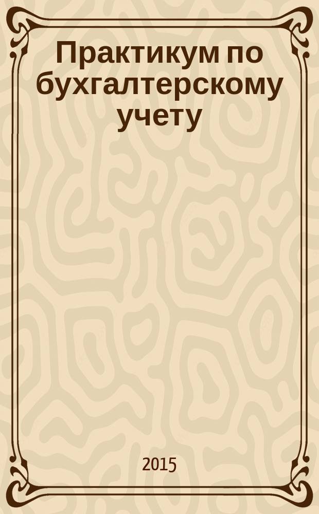 Практикум по бухгалтерскому учету : учебное пособие