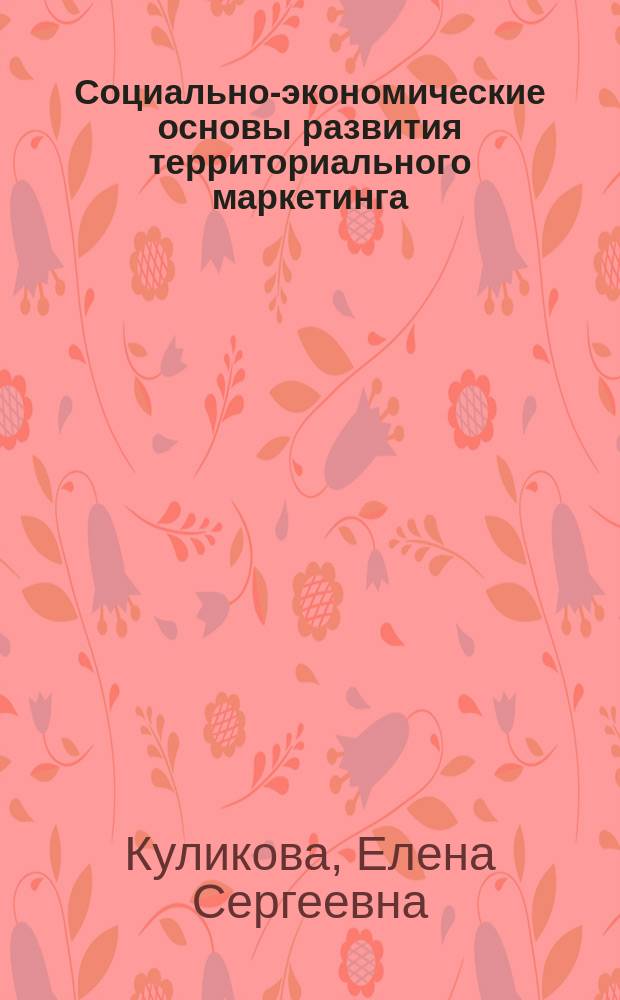 Социально-экономические основы развития территориального маркетинга : монография