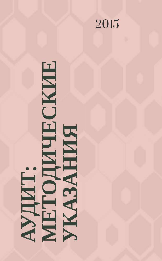 Аудит : методические указания