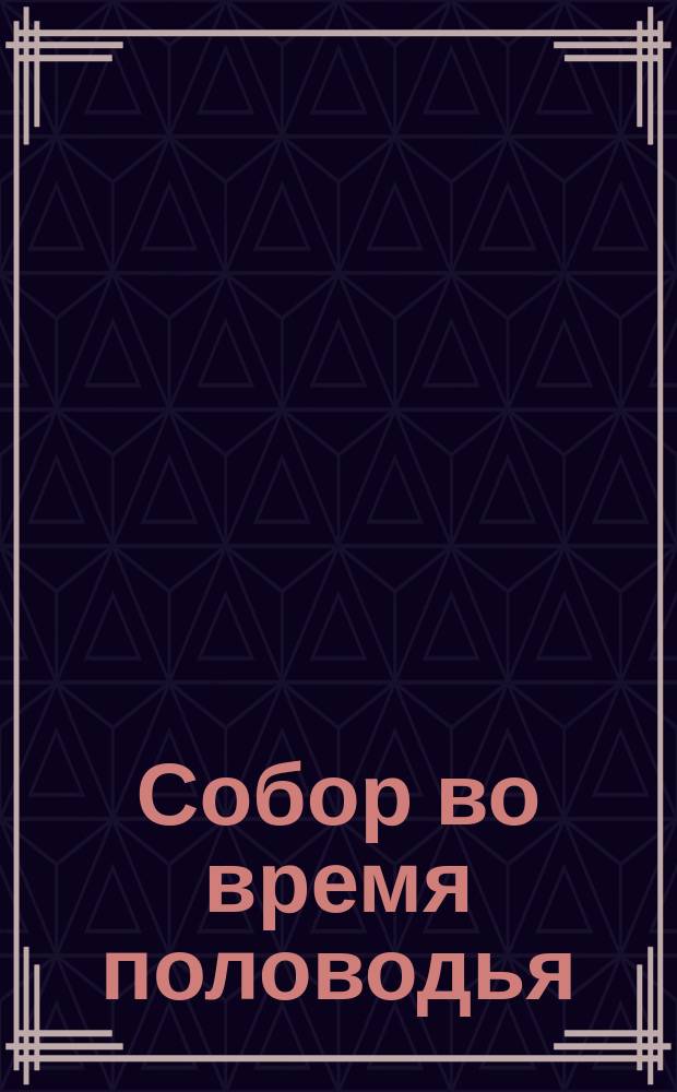 Собор во время половодья : Рязань : фотография