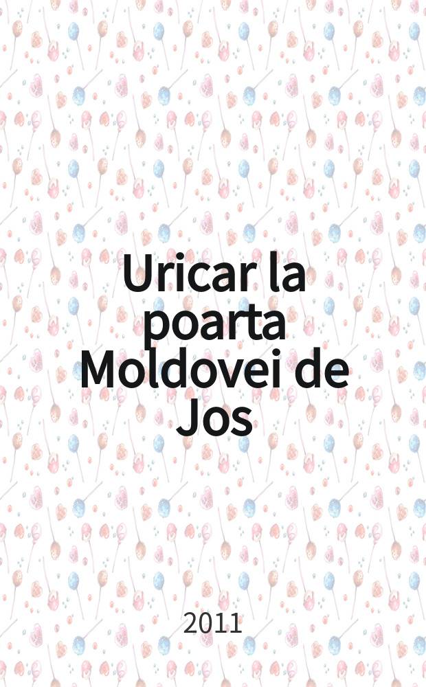 Uricar la poarta Moldovei de Jos : [pagini de istorie şi cultură tecuceană]. Vol. 2 = Т. 2