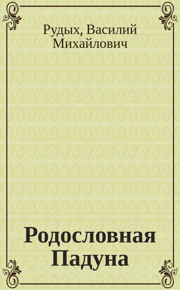 Родословная Падуна : (историко-краеведческие очерки в личном освещении, понимании) : посвящается 20-летию Падунского района