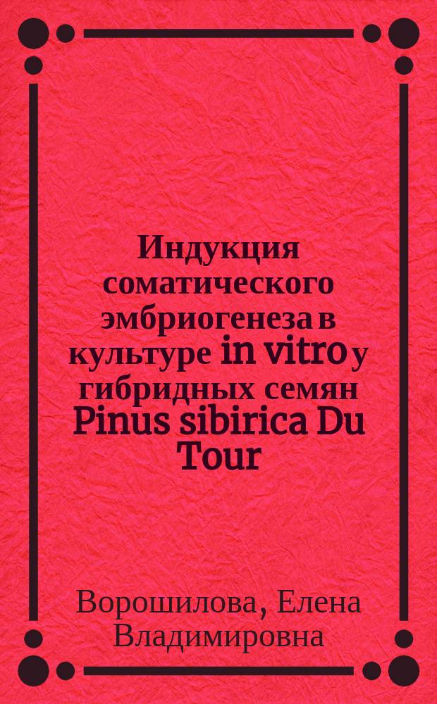 Индукция соматического эмбриогенеза в культуре in vitro у гибридных семян Pinus sibirica Du Tour : автореферат диссертации на соискание ученой степени кандидата биологических наук : специальность 03.01.05 <Физиология и биохимия растений> ; специальность 03.02.01 <Ботаника>