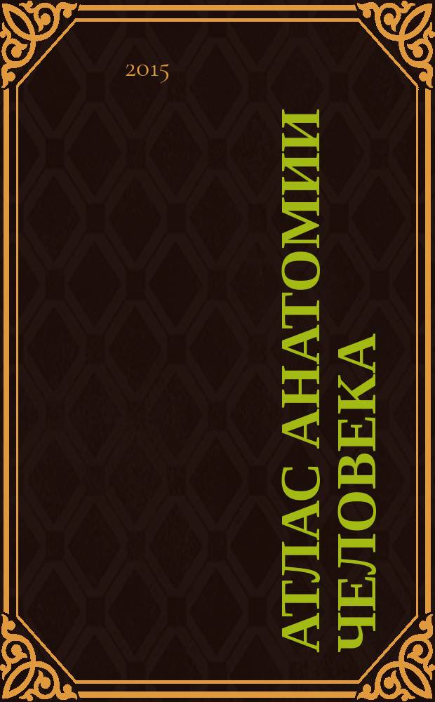 Атлас анатомии человека