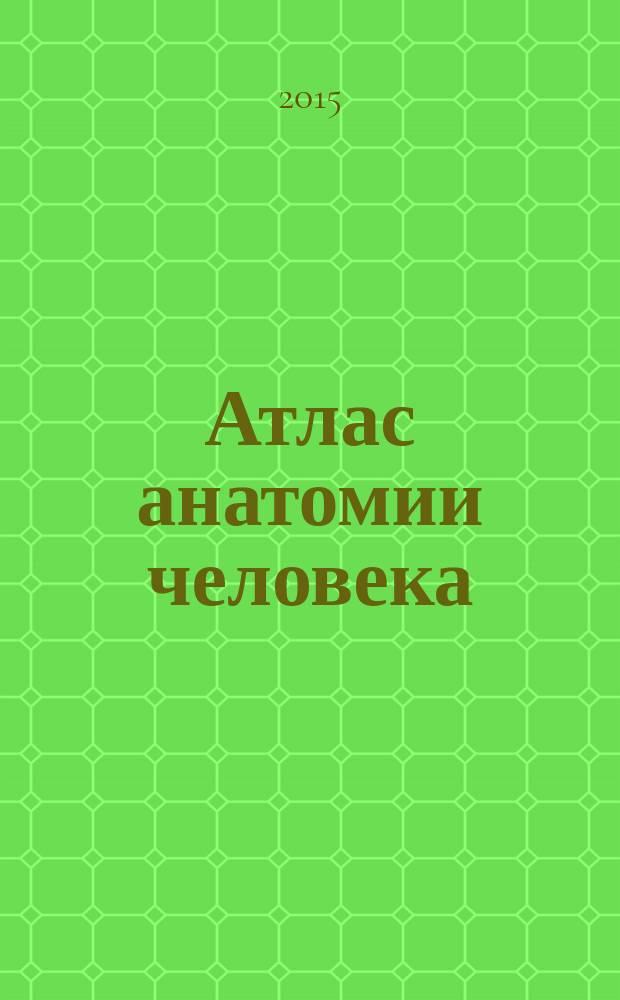 Атлас анатомии человека : все органы человеческого тела