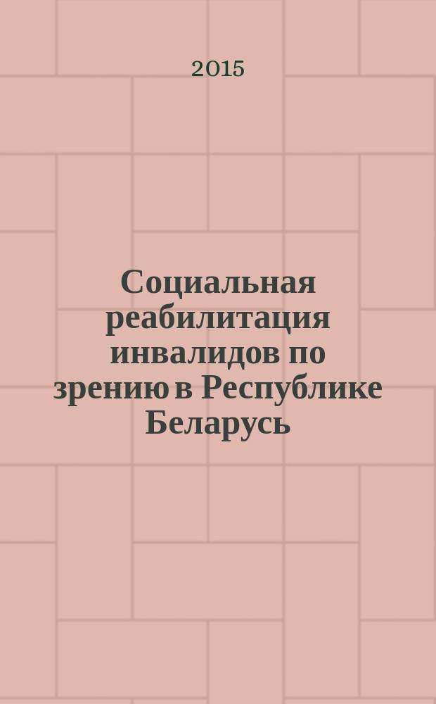 Социальная реабилитация инвалидов по зрению в Республике Беларусь (социологический анализ) : автореферат диссертации на соискание ученой степени к.социол.н. : специальность 22.00.08