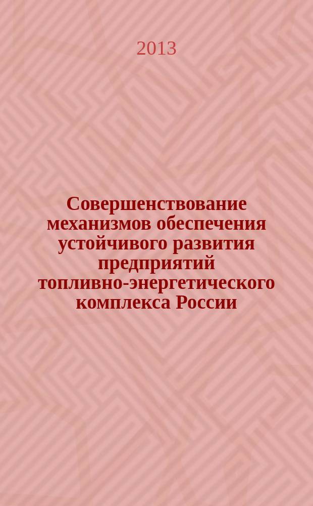 Совершенствование механизмов обеспечения устойчивого развития предприятий топливно-энергетического комплекса России : автореферат диссертации на соискание ученой степени кандидата экономических наук : специальность 08.00.05 <Экономика и управление народным хозяйством по отраслям и сферам деятельности>
