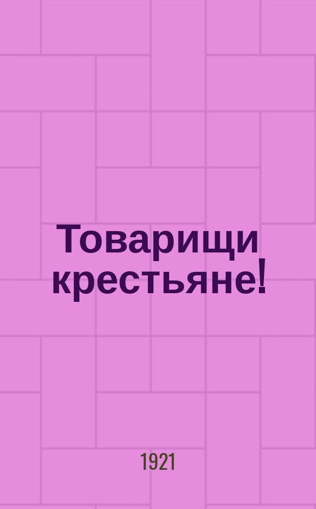 Товарищи крестьяне! : "Вот уже месяц, как в разных деревнях и селах Тюмен. губ. и Курган. уезда началось движение против Сов. власти"